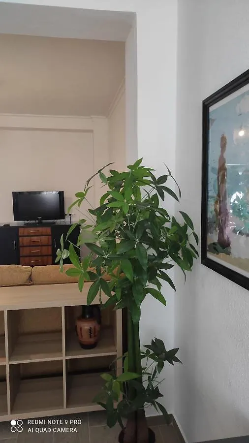 Casa Tia Pilar Villa Algodonales Semesterbostad